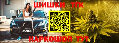 мдпв Ипатово