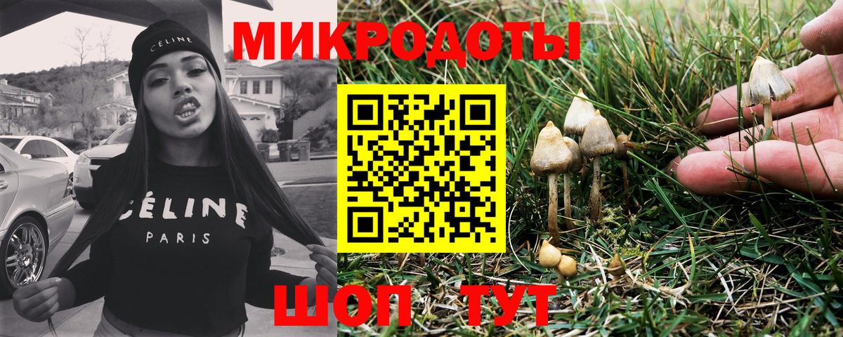 Петрозаводск  Галлюциногенные грибы мухоморы  даркнет сайт  Вход с VPN 